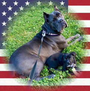 Meet your Posher, Phyllis